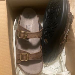 Cambrian Aegean brand new regulars price $214.99.